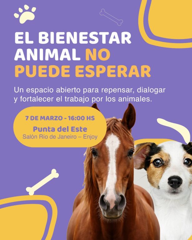Afiche del evento de este sabado en Punta del Este
